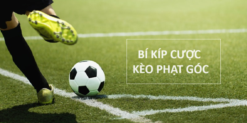 Bí kíp cược trúng đậm cao thủ chia sẻ