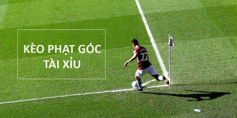 Hình thức cược góc Tài Xỉu