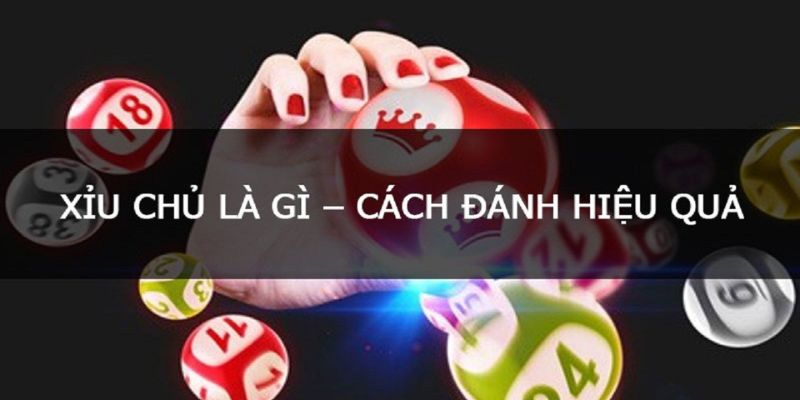 Cái nhìn tổng quát của lô xỉu chủ