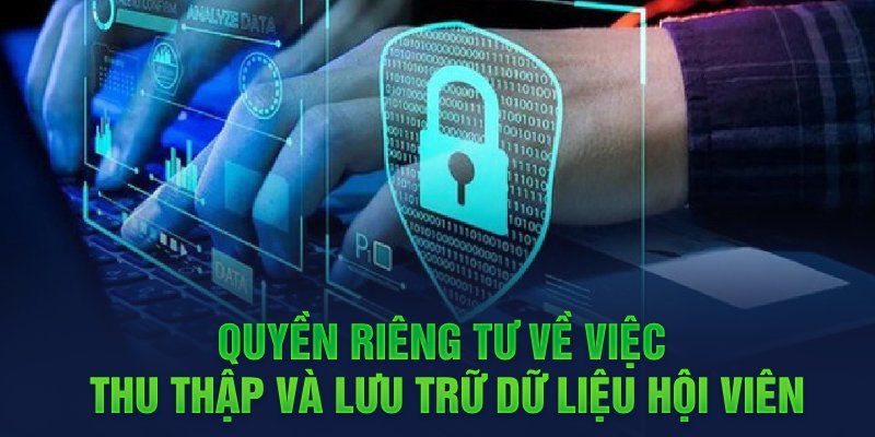 Điều khoản về việc thu thập thông tin người dùng