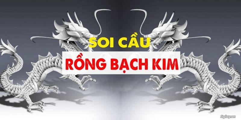 Soi theo số và toán học 